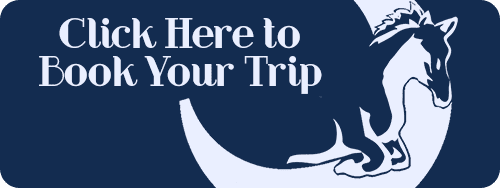 Click here to book your trip