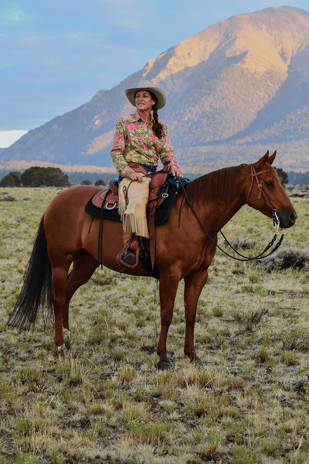 Julie Goodnight Horsemanship | Helping Horses One Human at a Time